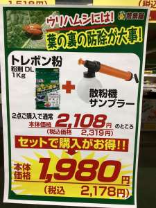 葉の上の害虫に