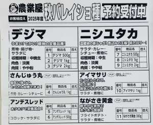 秋バレイショ・健康野菜球根受付中‼︎