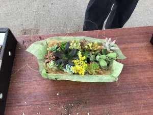 多肉植物寄せ植え教室開催いたしました&草刈機点検会を開催いたします
