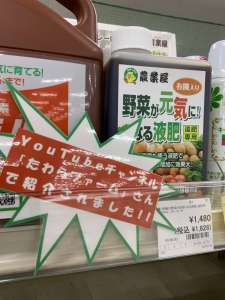 夏野菜に追肥をしましょう‼️