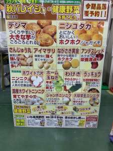 秋バレイショ種・健康野菜　予約承り中‼️