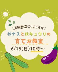 6/15(日)菜園教室のお知らせ🍆🥒
