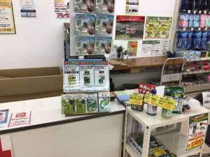 6月に撒ける種🫘集めました〜👩‍🌾