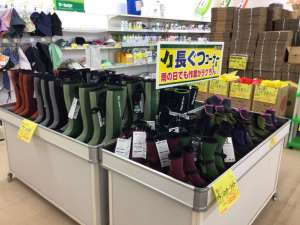 田植え真っ盛り🌾植え継ぎしてますか👢