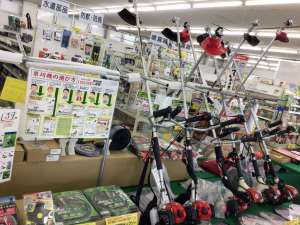 草刈シーズン到来！オススメ