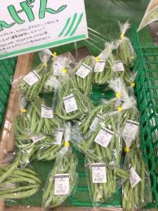 インゲン､かぼちゃ入荷してきました！