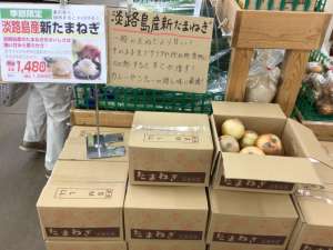 淡路島産新玉ねぎ入荷してきました！