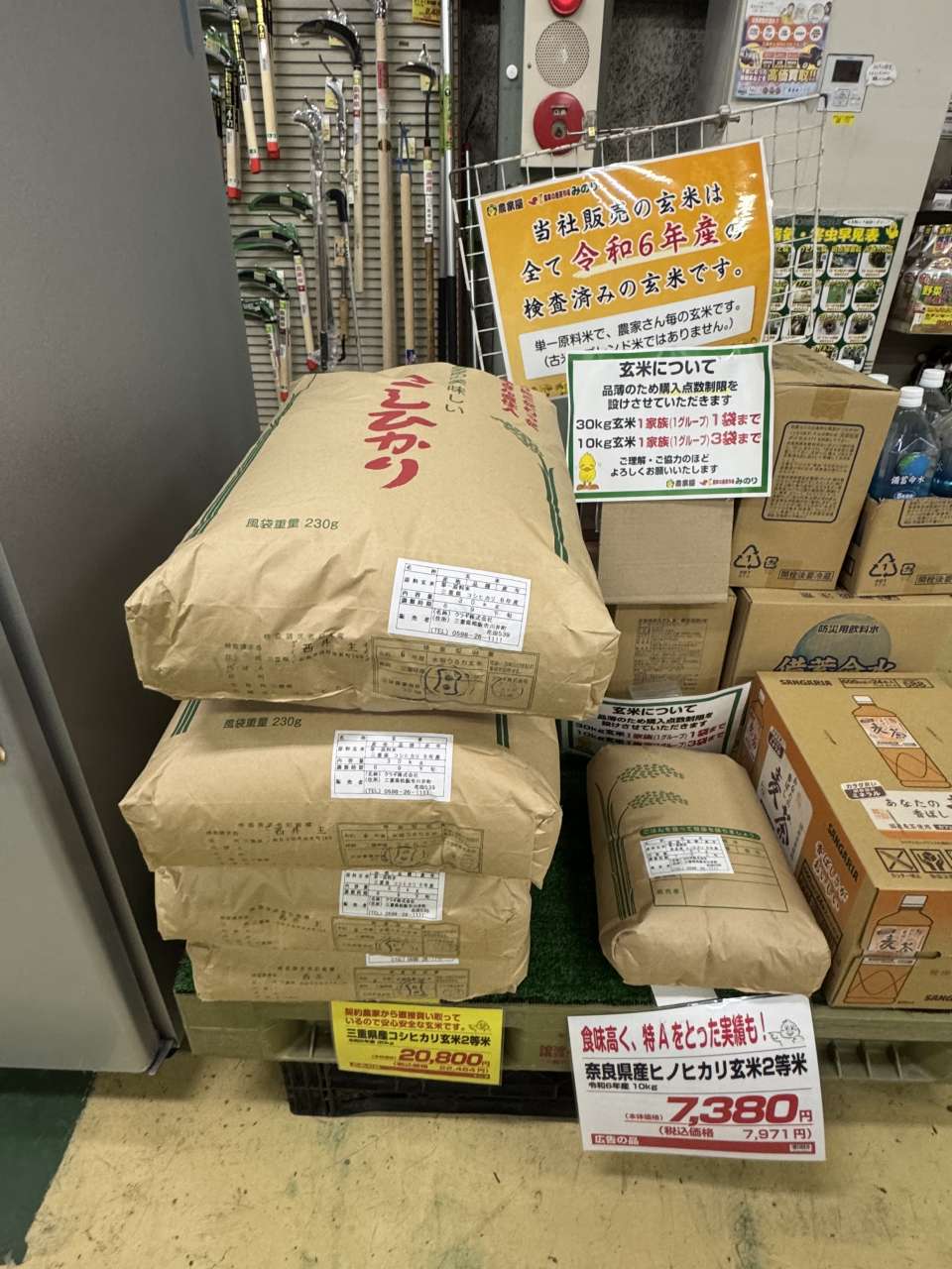 野津産 玄米30kg 野菜色々 野沢農産 玄米 30kg お米 5kg×6袋 こつぶな玄米 30キロ 送料無料