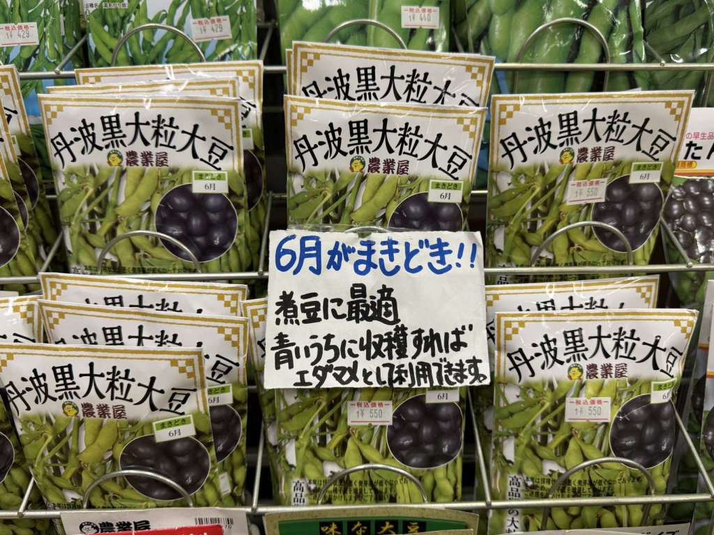 丹波黒大粒大豆🫘まきどきです！