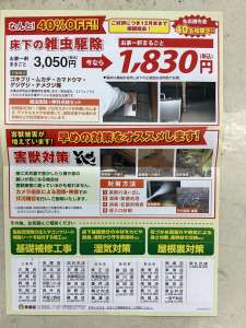 家の害獣・害虫対策はお済みですか？
