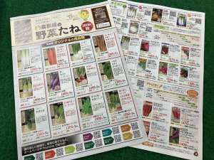 秋の種カタログができました♪