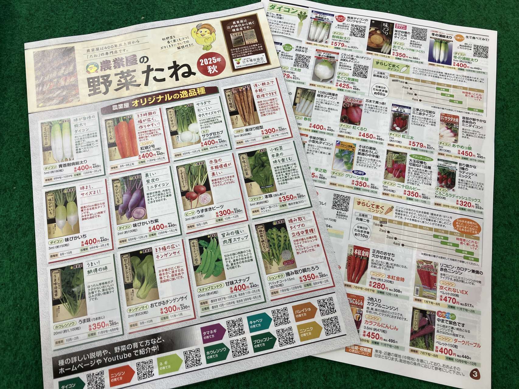 秋の種カタログができました♪