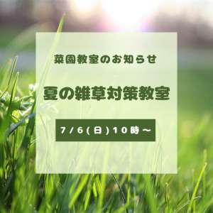 7/6(日)菜園教室のお知らせ🌱