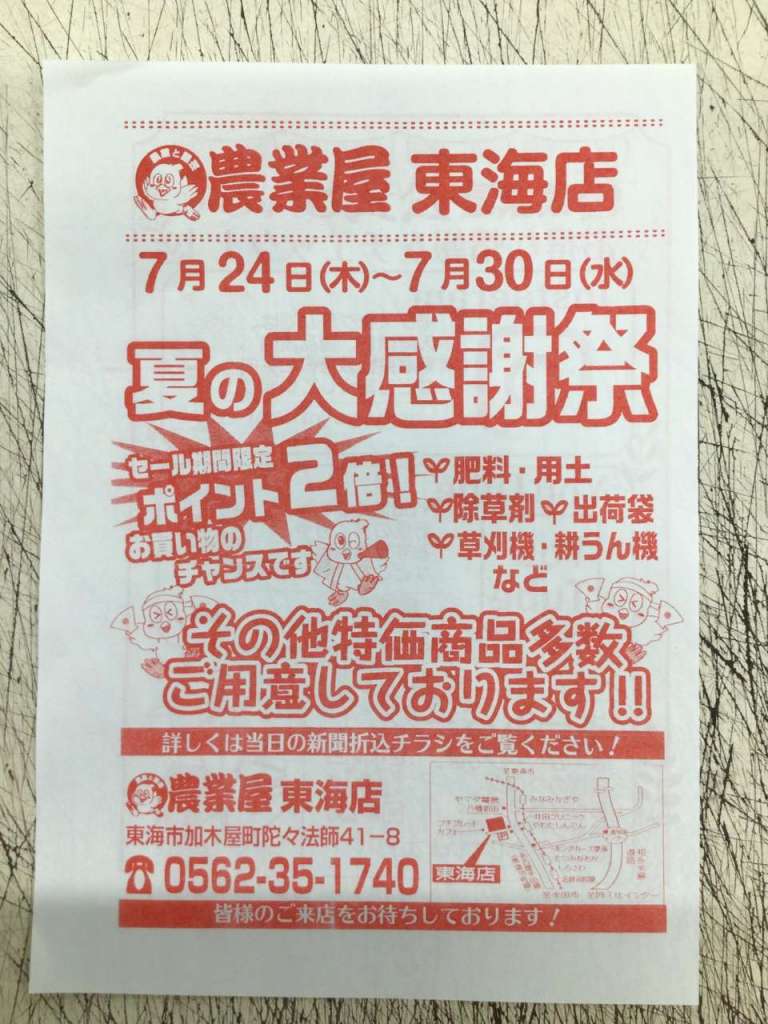 夏の大感謝祭のご案内！