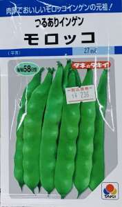 今まける種のご紹介