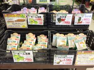秋の健康野菜入荷しています🧄