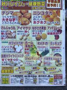 秋バレイショ種&健康野菜球根　予約注文受付中
