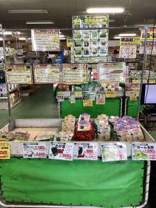 健康野菜入荷してます。