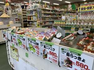 健康野菜の入荷が始まりました‼️