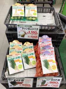 健康野菜を入荷しました‼️