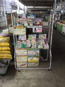 秋の健康野菜入荷中！