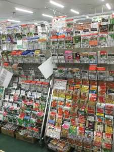 秋野菜種入荷中！