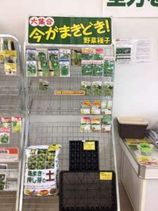 種カタログ配布中〜🫲