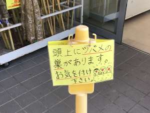 絶賛子育て中〜🐧