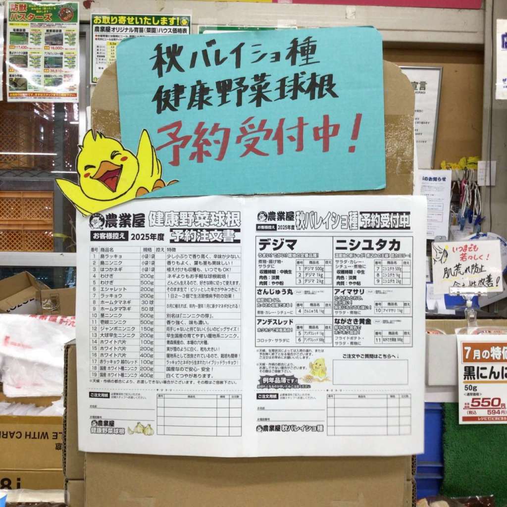 🌟秋バレイショ予約開始しました🌟
