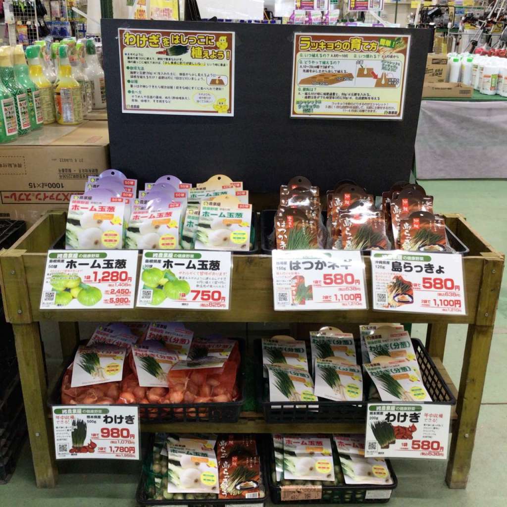 秋の健康野菜入荷しました❕