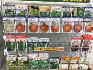 種まき準備してますかー？🌱🧅🥬🥦🫛🥕🧄🥔