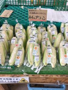 白いとうもろこしが入荷してます！