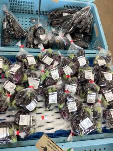 ナスが入荷してます！