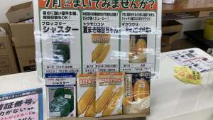 七月に撒ける種いかがですか〜🫶