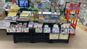 健康野菜球根続々入荷中🤩✨