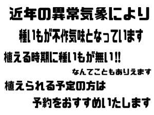 秋植え馬鈴薯種子の予約が始まりました