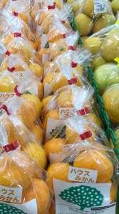 🍊ハウスみかん入荷しました🍊