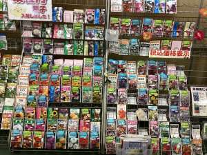 花のタネ　続々入荷中‼️‼️