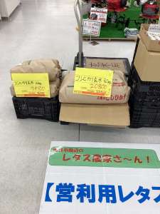 玄米入荷！！