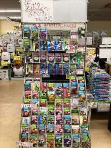 7月といえば？