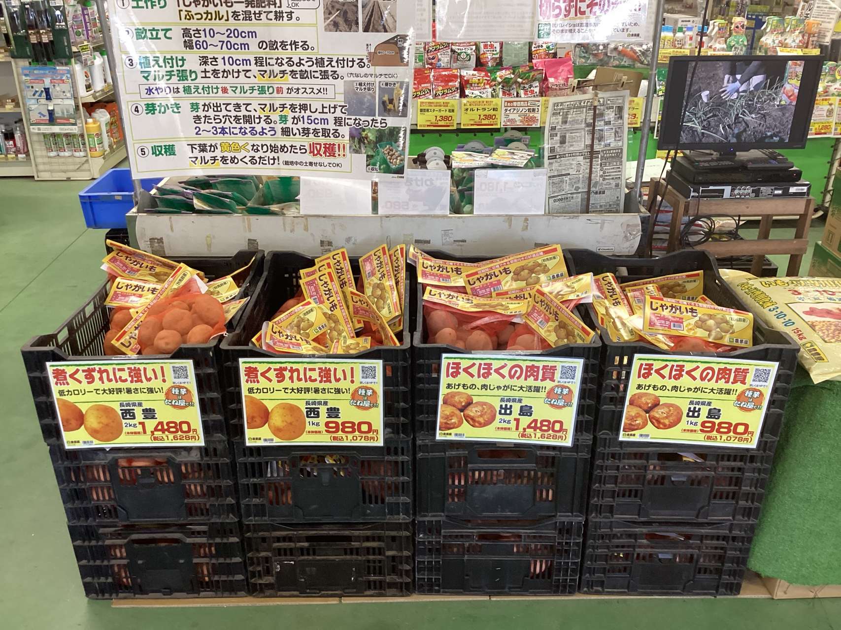 秋バレイショが入荷しました！
