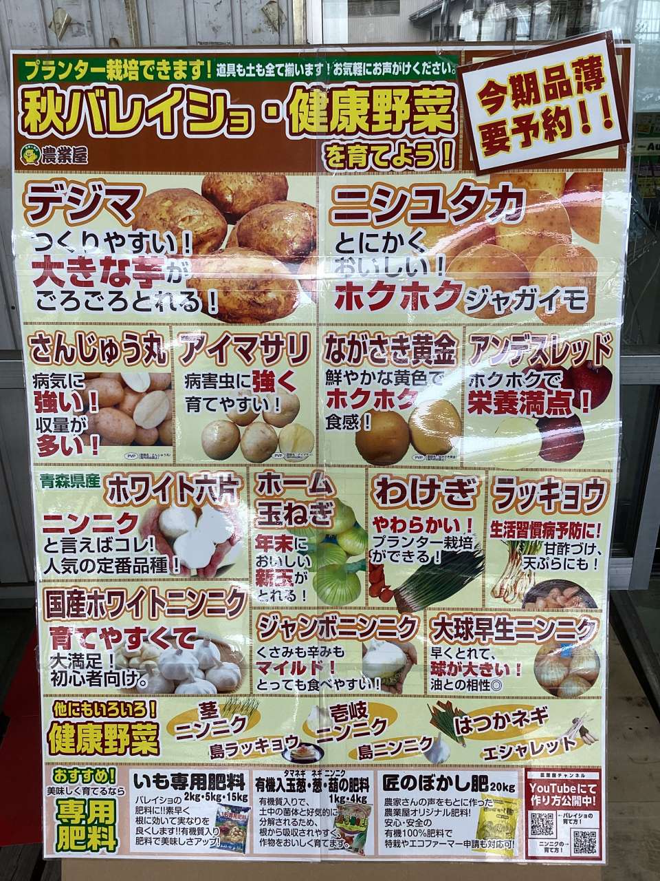 秋バレイショ種の予約開始！🍂🥔