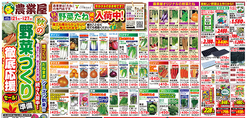 秋の野菜づくり徹底応援セール！！秋の野菜たね続々入荷！！
