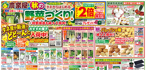 秋の野菜づくり！！秋野菜たね・苗、秋バレイショ種続々入荷！！