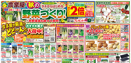 秋の野菜づくり！！秋野菜たね・苗、秋バレイショ種続々入荷！！