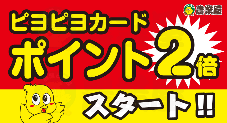 ピヨピヨカードポイント2倍キャンペーン開催中！