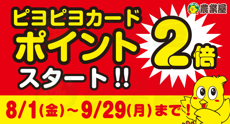 ピヨピヨカードポイント2倍キャンペーン！8月1日〜9月29日まで！！