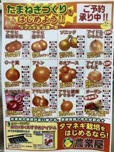 玉ねぎ苗、予約開始！！