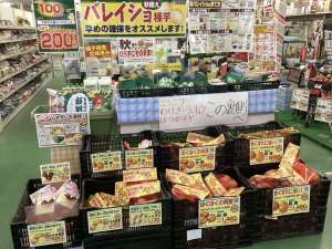 秋バレイショ種販売中‼️