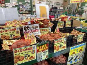 秋バレイショ入荷してます‼️🥔